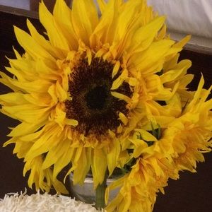 Meet your Posher, Kerry